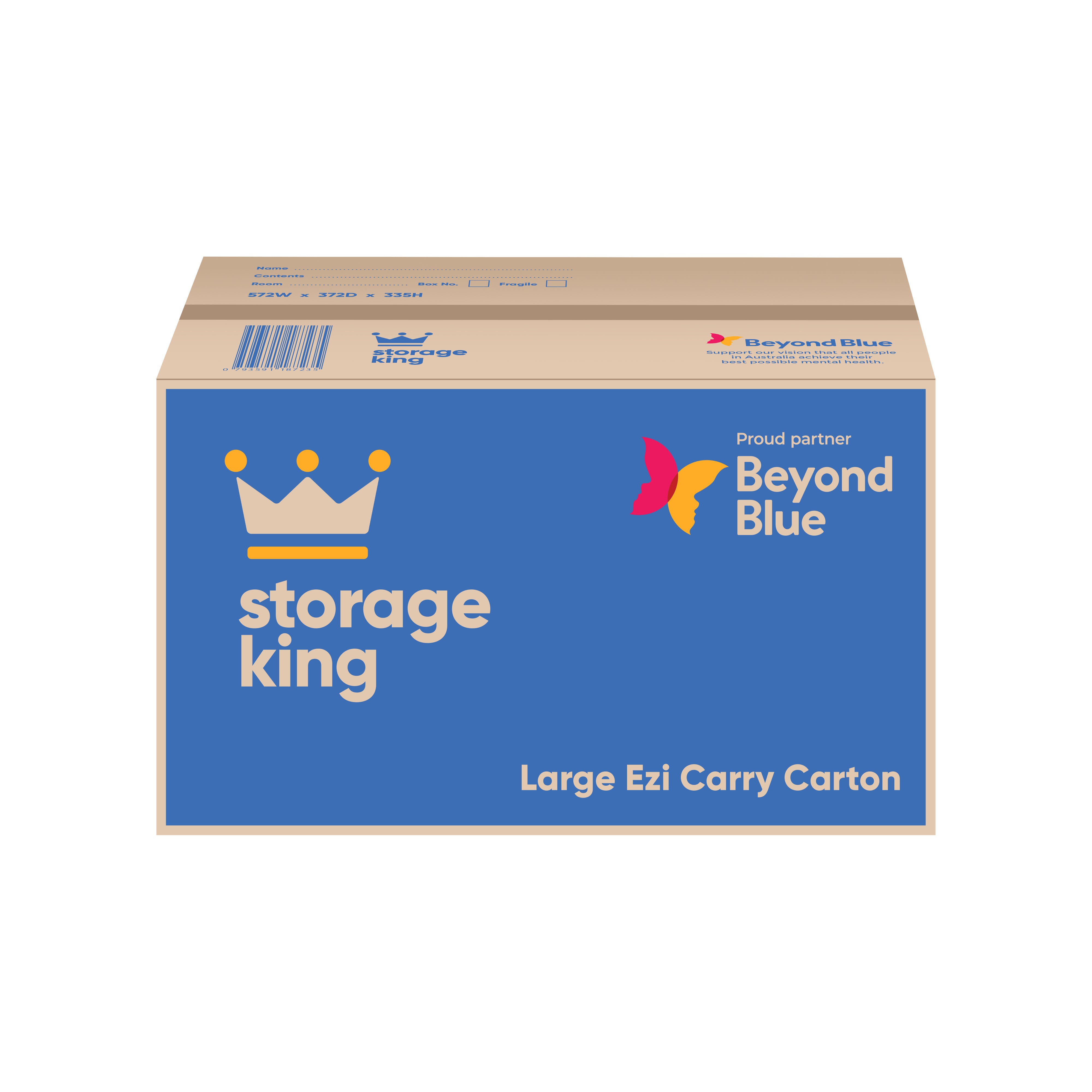 Large Ezi Carry Box